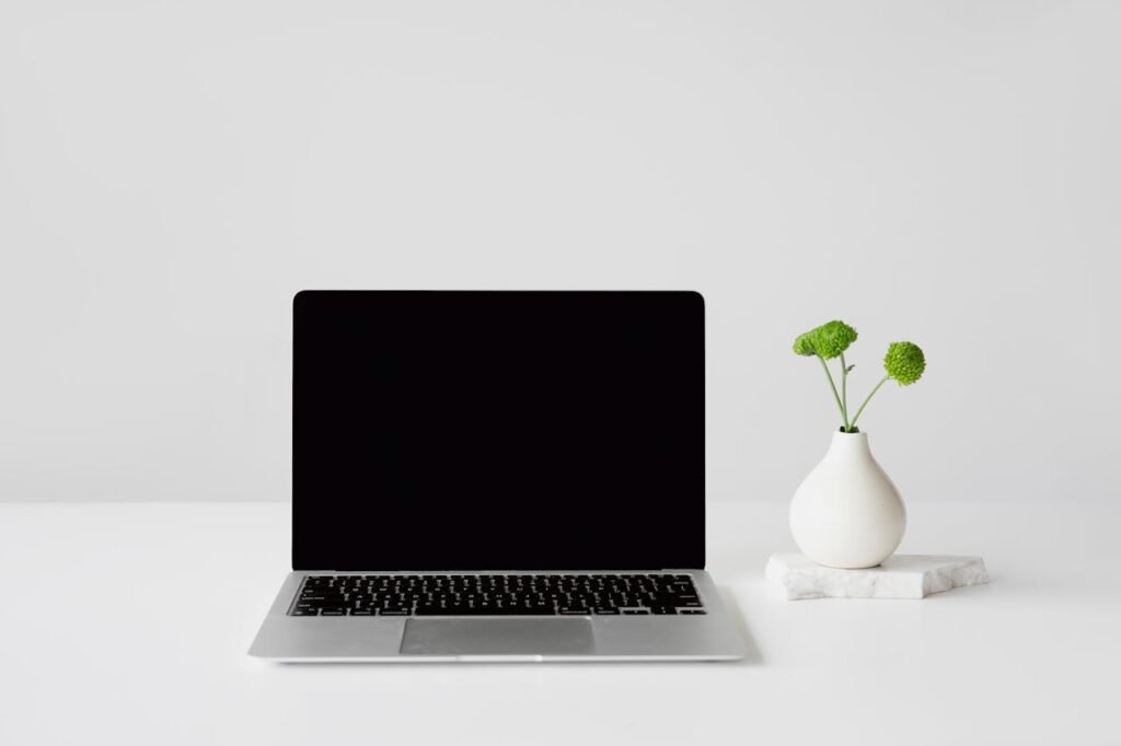 Simple and clean workspace featuring a laptop and a small vase with green flowers. Perfect for minimalists.